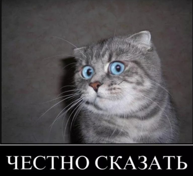 Картинка в ахуе