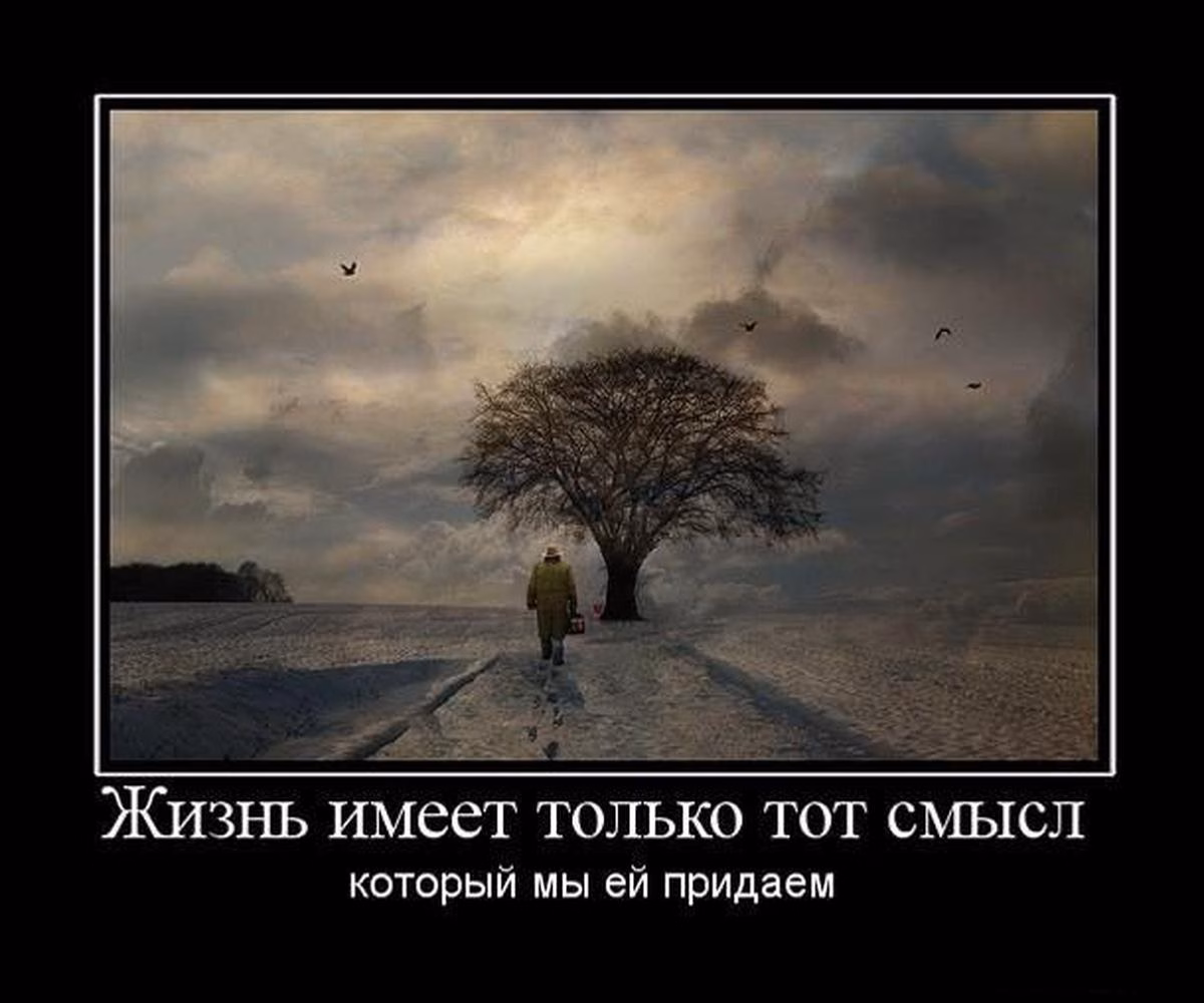 v-chyom-smysl-zhizni-cheloveka v-chyom-smysl-zhizni-cheloveka