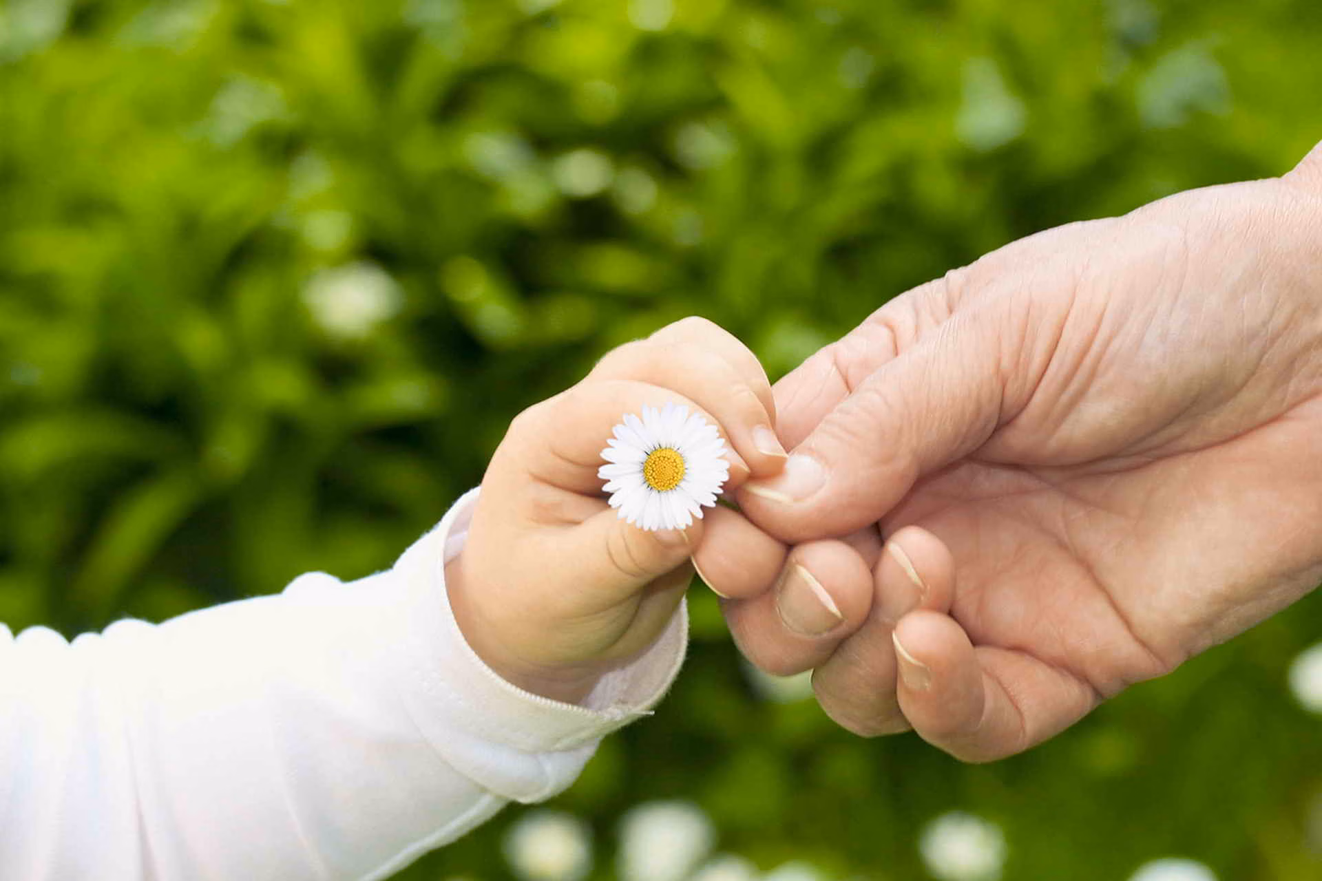 brat-ili-davat-to-chto-my-poluchaem-obespechivaet-nam-sushhestvovanie-to-chto-my-otdaem-tvorit-nashu-zhizn